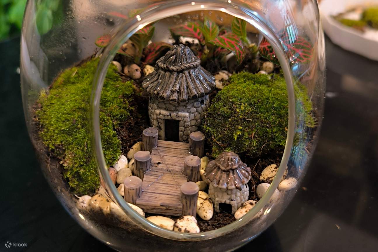 Atelier privé de terrarium à Jakarta
