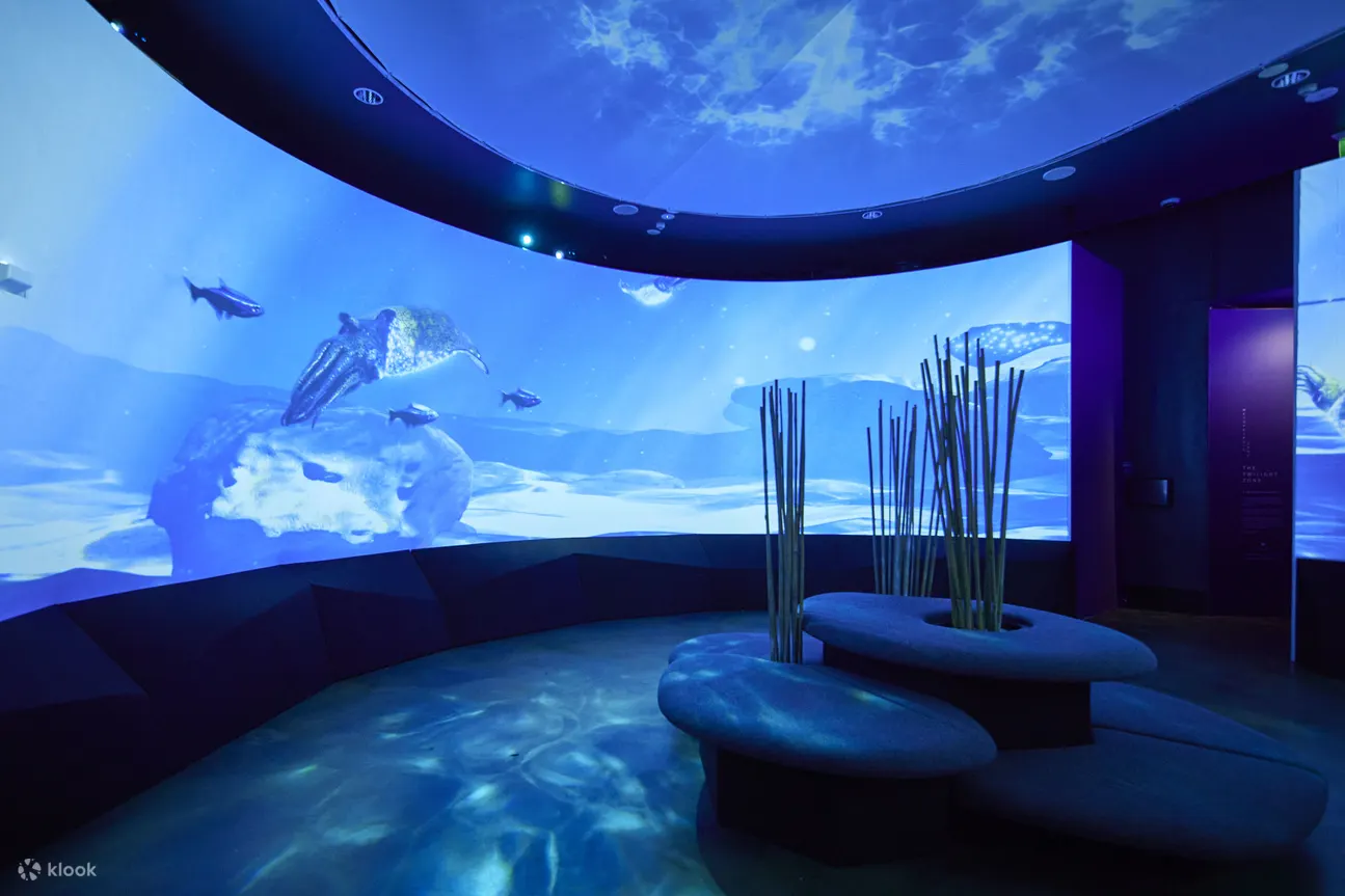 墨尔本海洋生物馆 - 墨尔本海洋生物馆互动奇观室侧视图