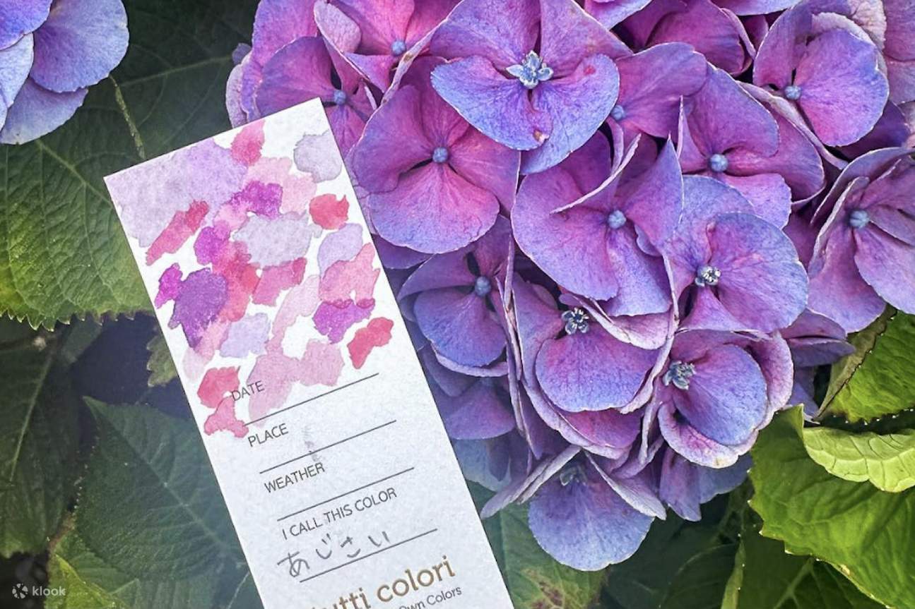By observing the purple and blue hues of hydrangeas in the garden, you record them on your own color card. Even within the same flower, you can notice how light and weather change its shades.