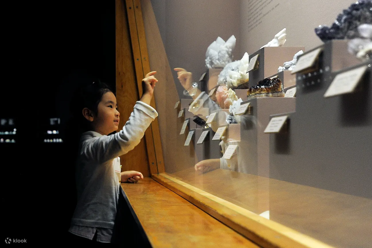 Denver Museum of Nature & Science