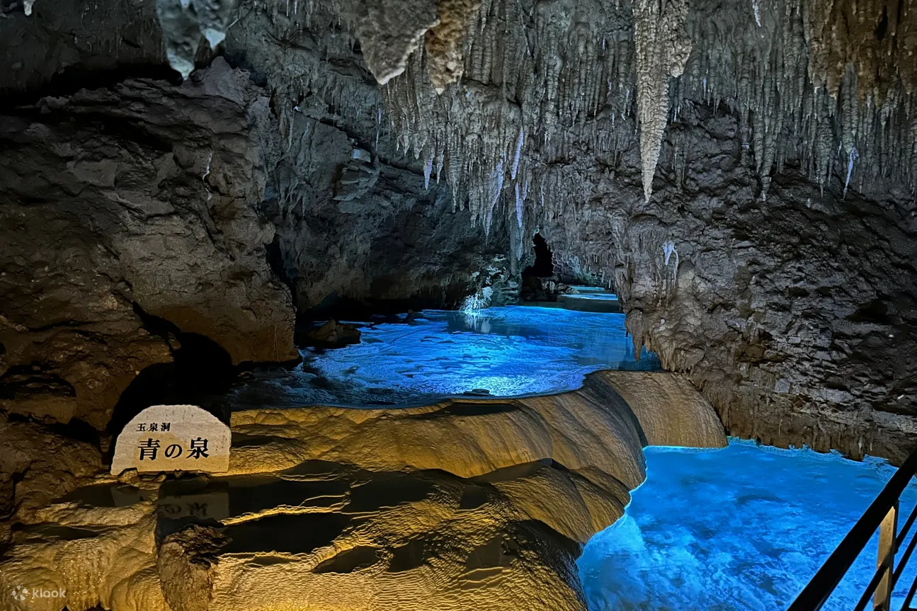 冲绳FunPASS｜美丽海水族馆系列