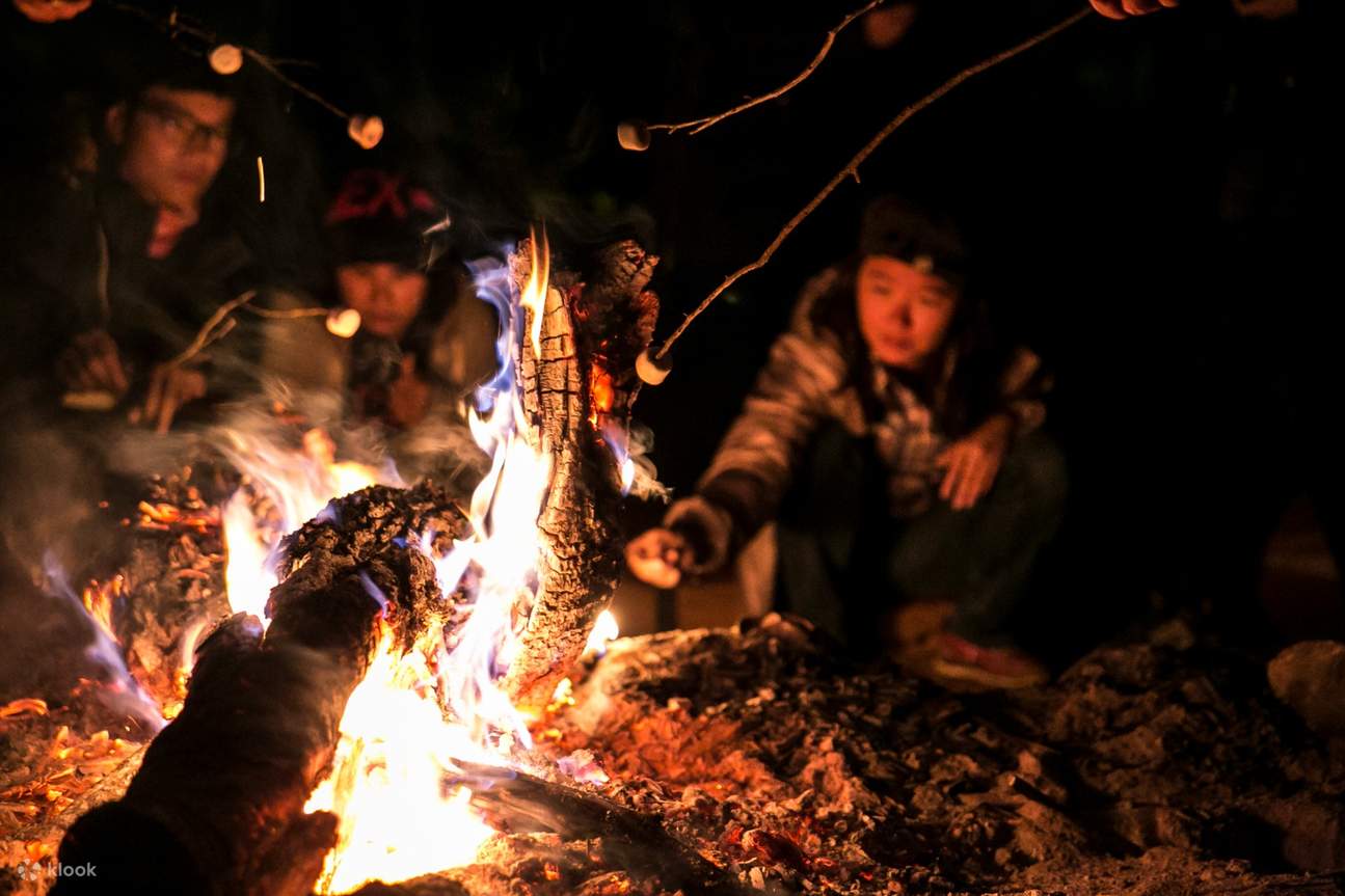 Overnight Uluru Camping Tour from Alice Springs 클룩 Klook 한국