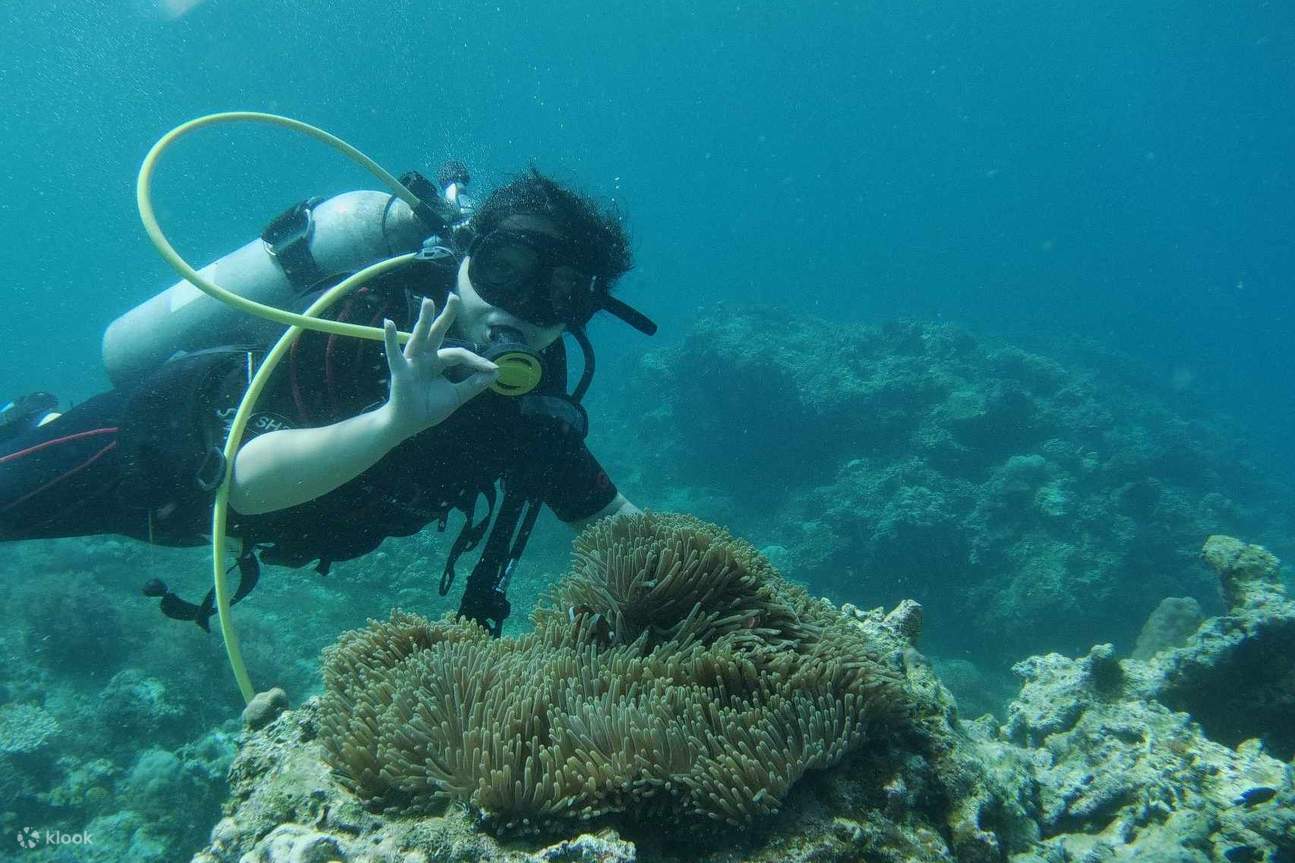 ทัวร์ดำน้ำที่ อานิเลา จาก มะนิลา