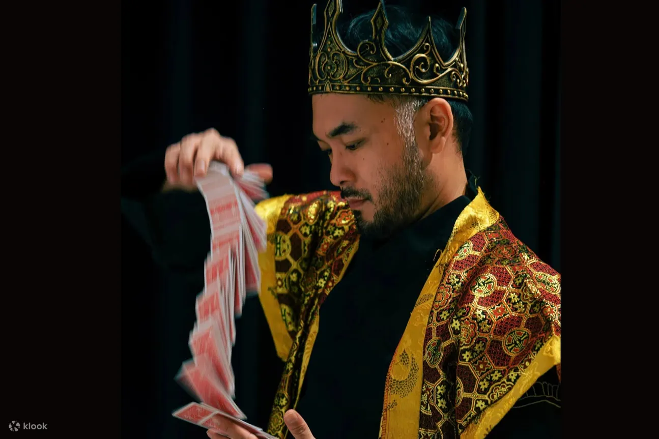 胡志明市神秘魔术之夜表演门票