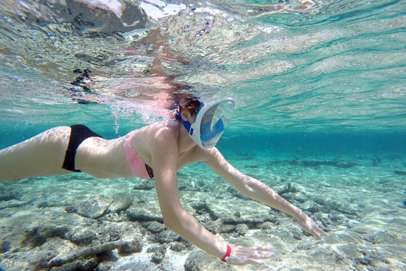 Hamata和Qulaan群岛浮潜之旅（含午餐和接送）- 马萨阿拉姆