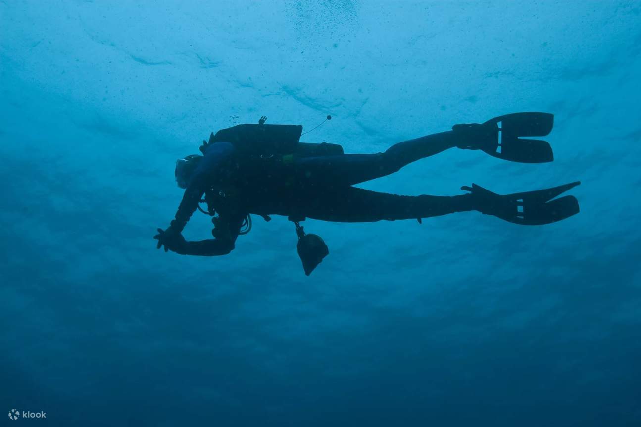 ดำดิ่งสู่โลกใต้น้ำและเรียนรู้การดำน้ำลึก (Scuba Diving) ที่อิสลาโมราดา (Islamorada) ที่ซึ่งน้ำทะเลใสราวคริสตัลเป็นเหมือนห้องเรียนใต้น้ำที่สมบูรณ์แบบ