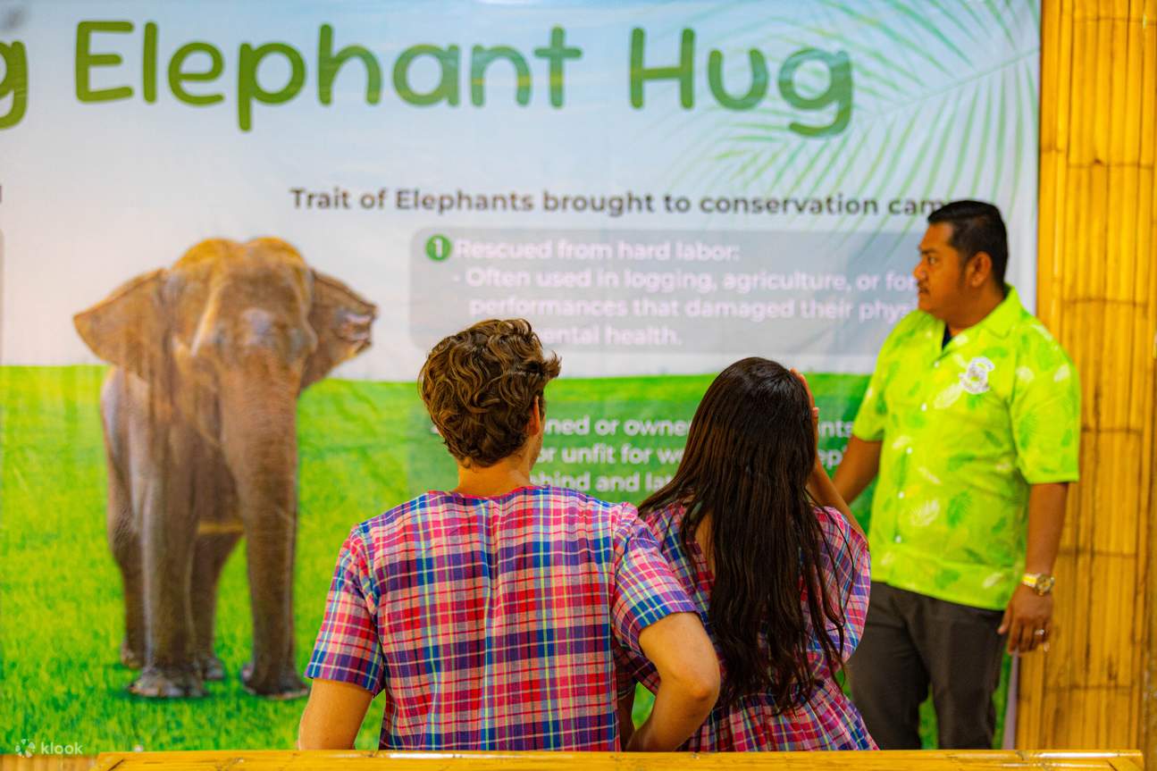 Patong Elephant Hug di Phuket