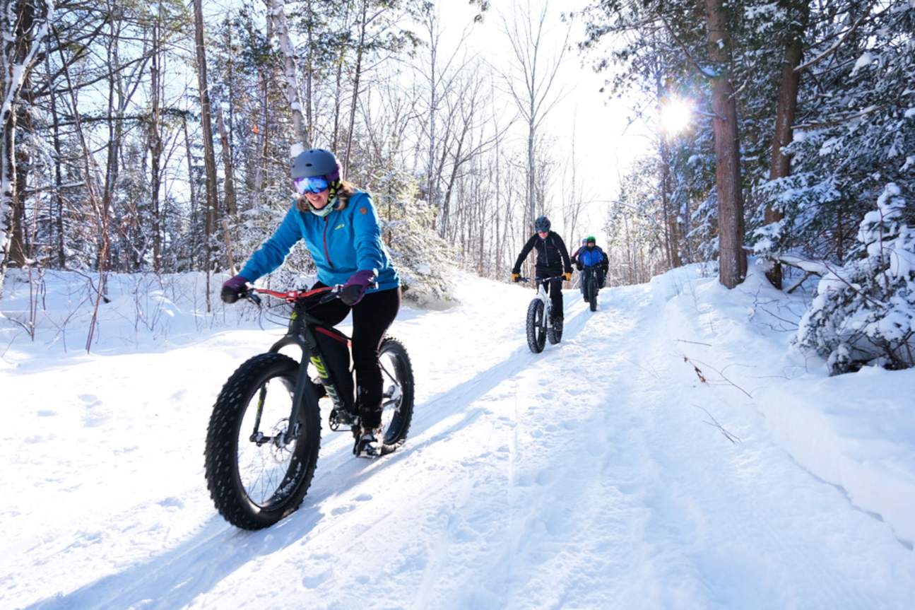 Electric fat bike sale