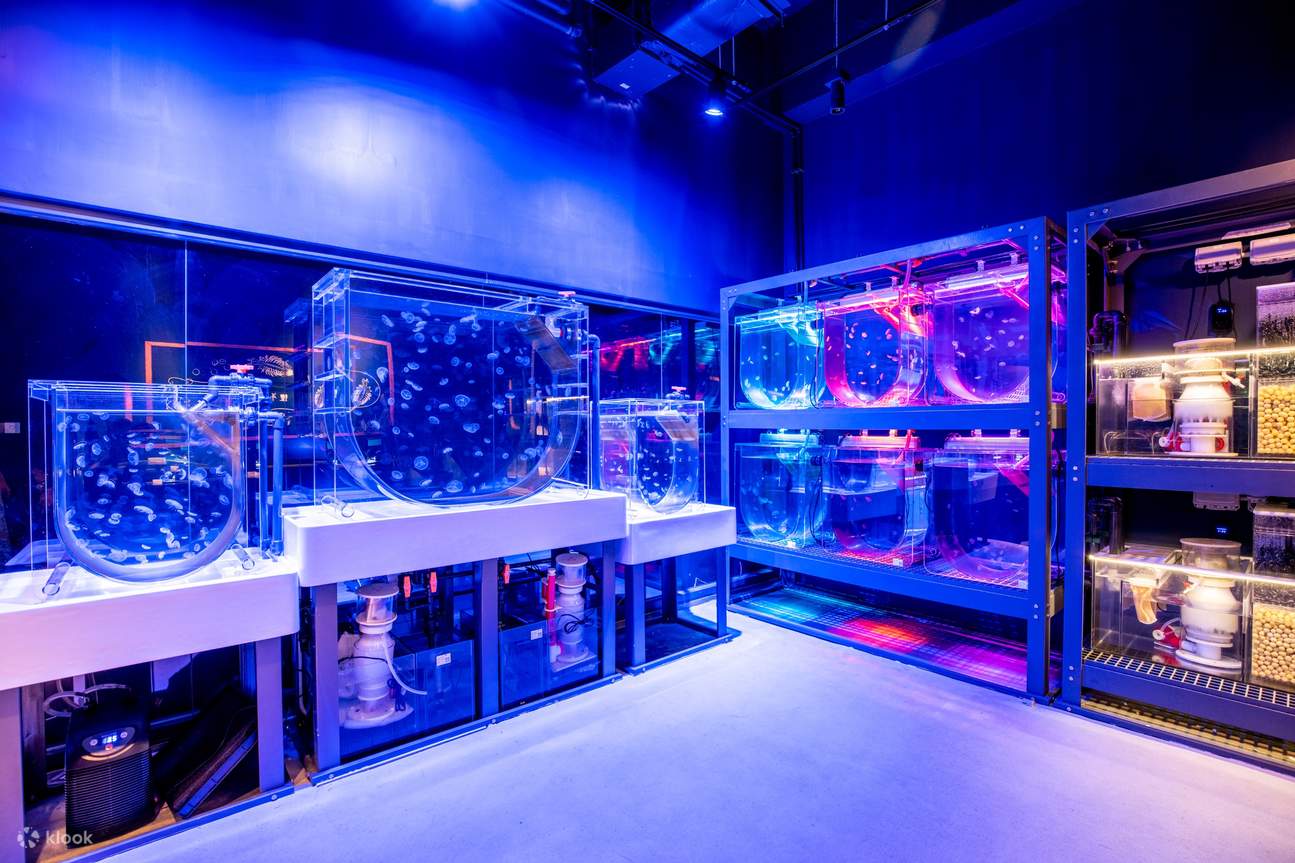 Hong Kong Ocean Park Explorer