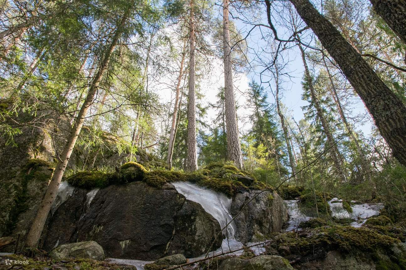 Nuuksio Half Day Nature Tour Helsinki, Finland Klook