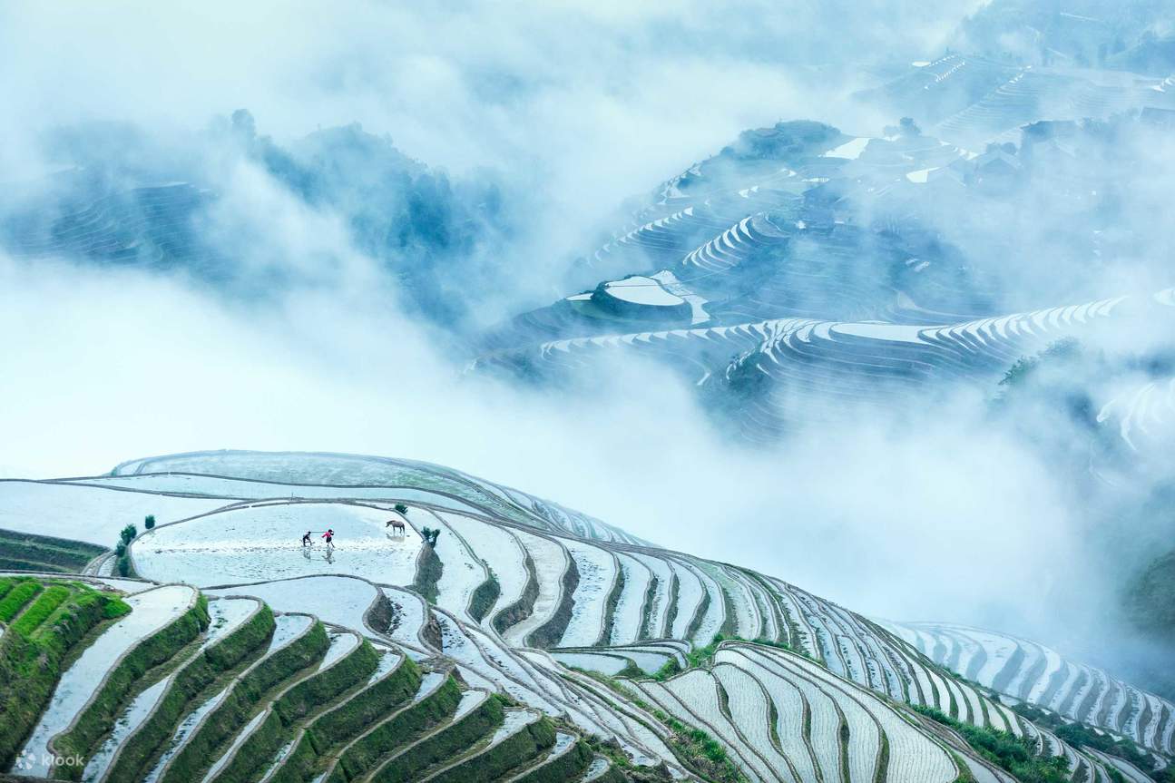5-day tour of Guilin + Longji Rice Terraces + Dali River + Yangshuo (6 ...