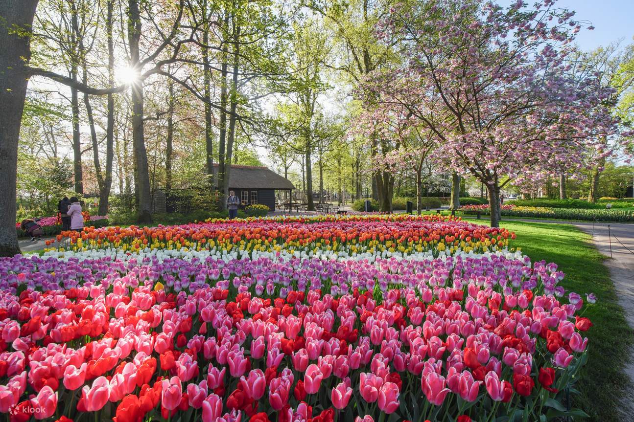 Keukenhof
