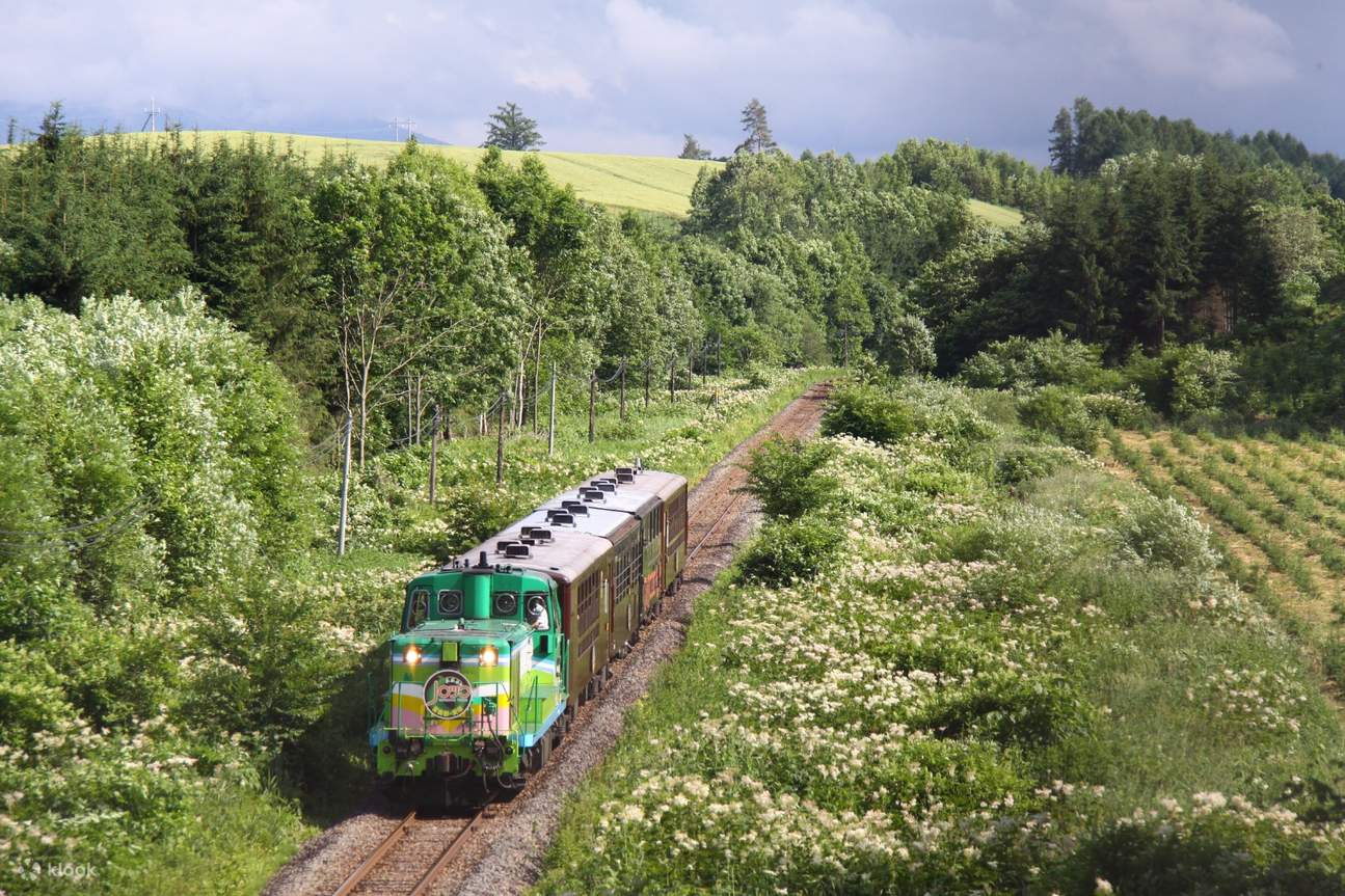 Round Trip Train Ticket for Furano, Biei, and Asahikawa, Japan - Klook