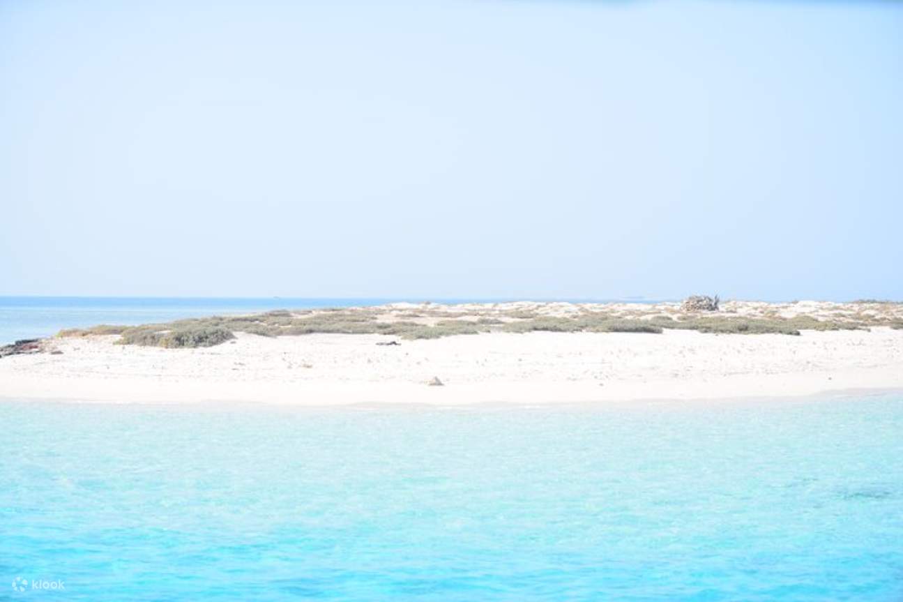 Excursión de esnórquel a las Islas Hamata y Qulaan con almuerzo - Marsa Alam