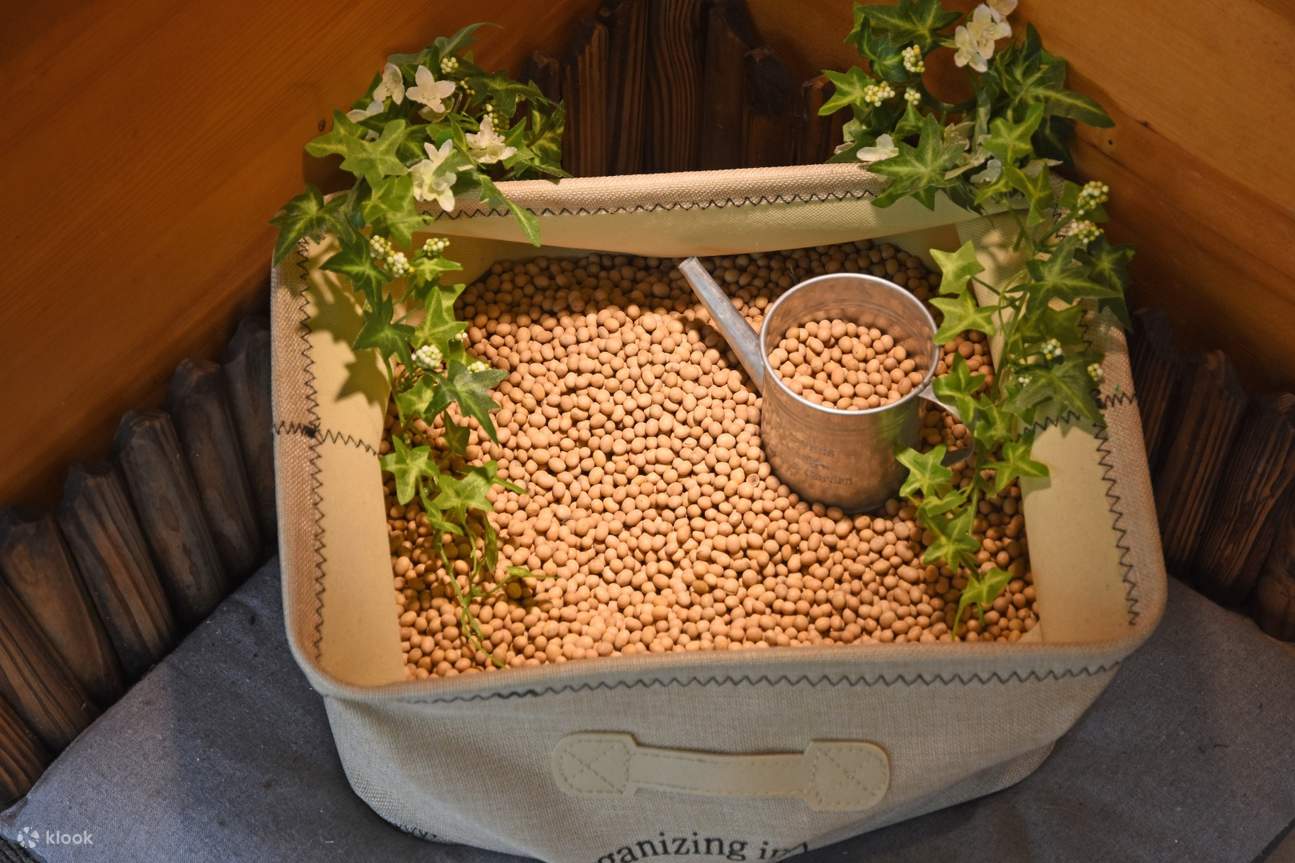 非基因改造進口黃豆