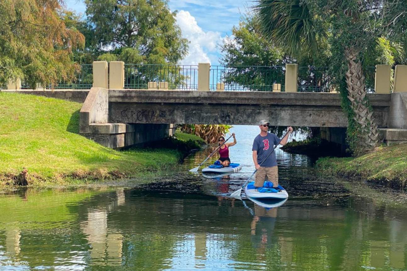 Urban Clear Kayak or Paddleboard Paradise Tour in Orlando Klook