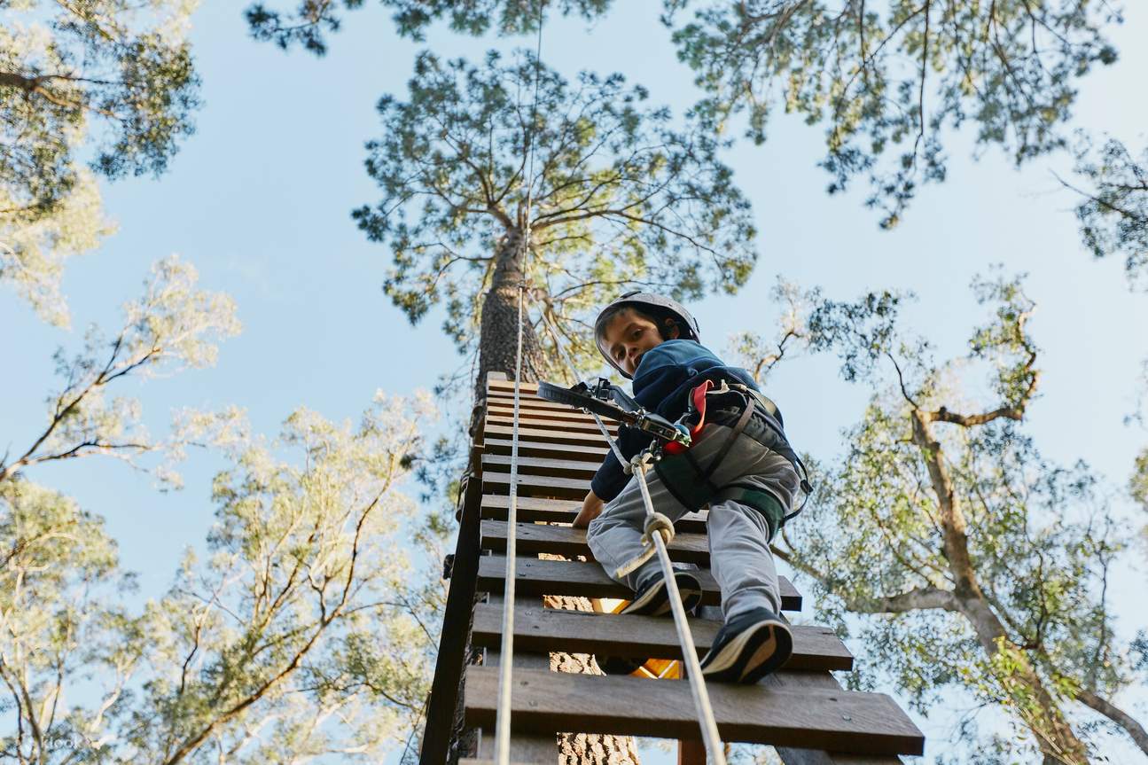 瑪格麗特河森林探險