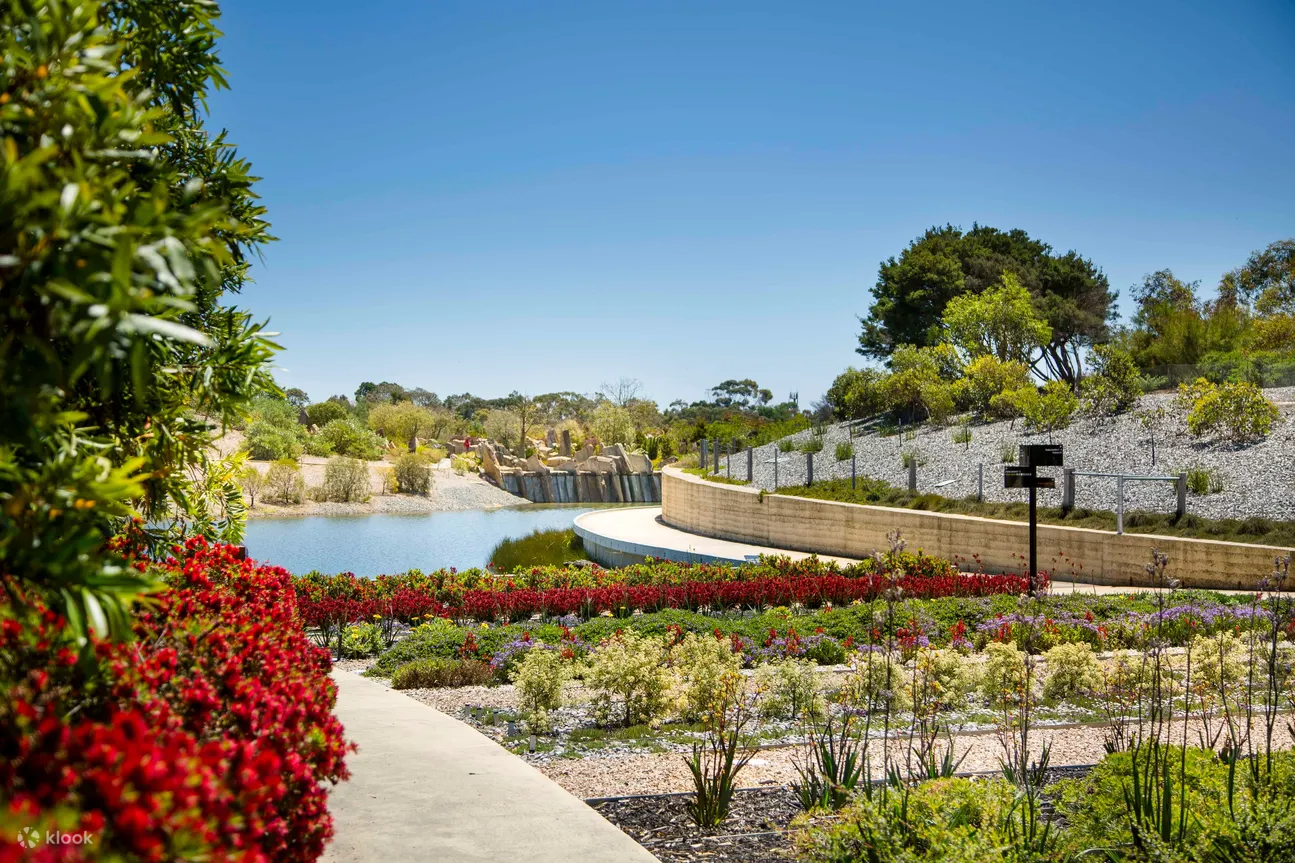colourful plants in bloom