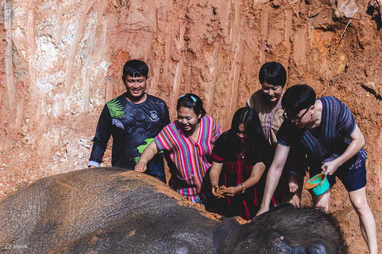 Nikmati memberikan perawatan spa lumpur yang menyenangkan untuk para gajah.