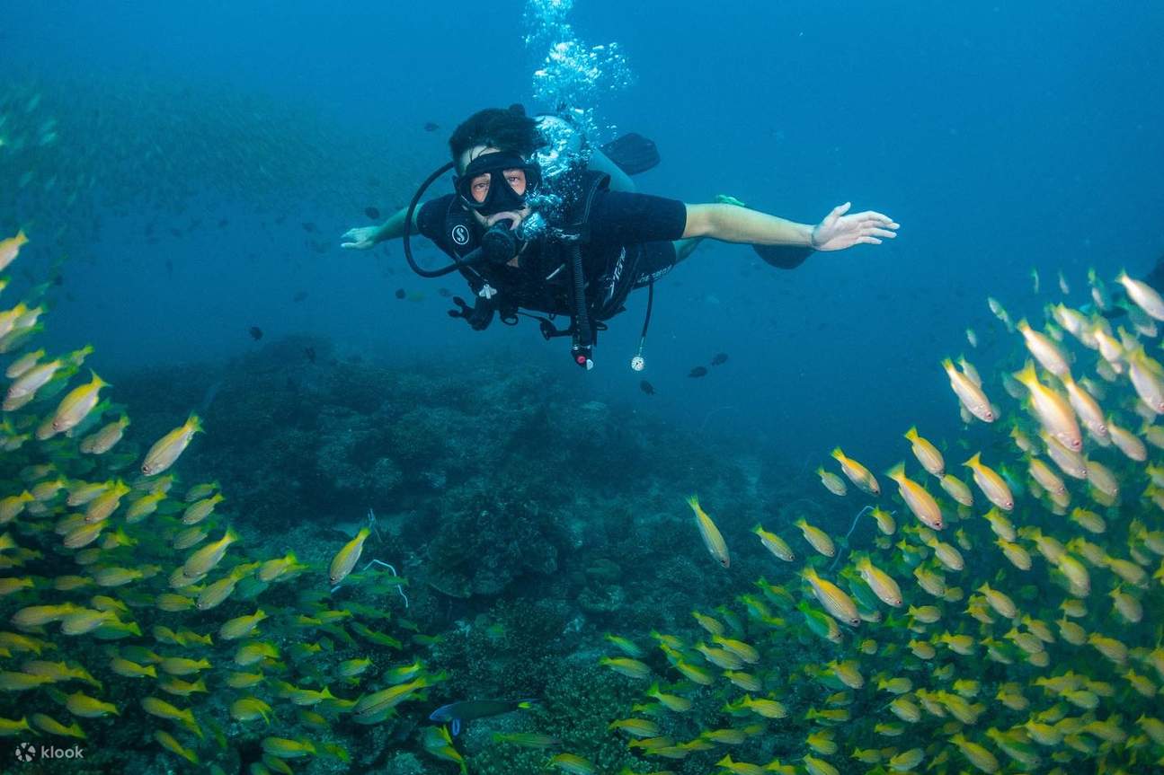 Giubbotto salvagente professionale per immersioni subacquee, snorkeling, bombola singola, con