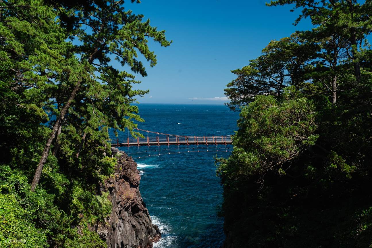 Mount Omuro Ropeway, Jōgasaki Coast, Hakone Shrine, and Ito Marine
