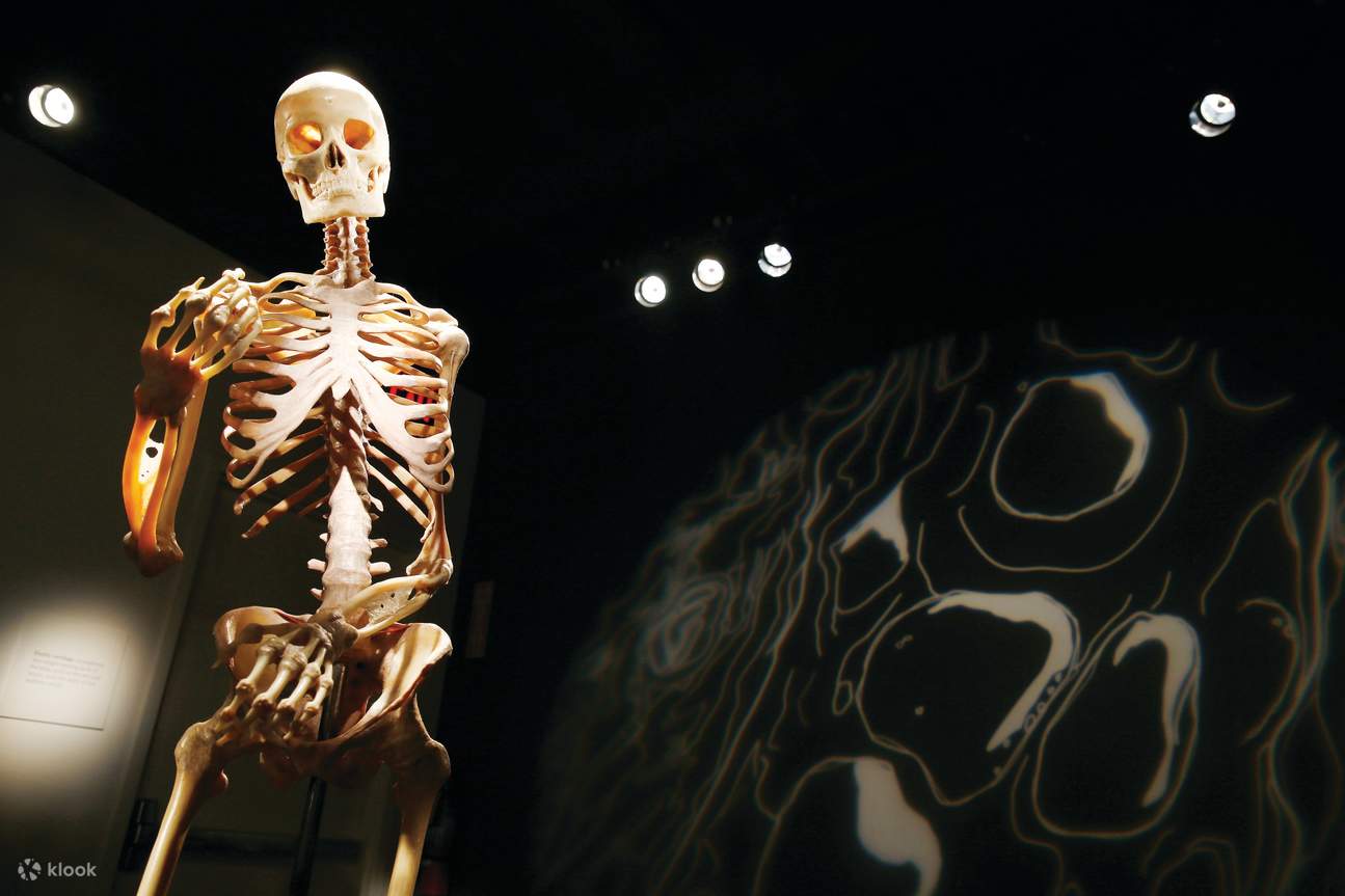 ตัวอย่างข้อความฉบับเต็ม