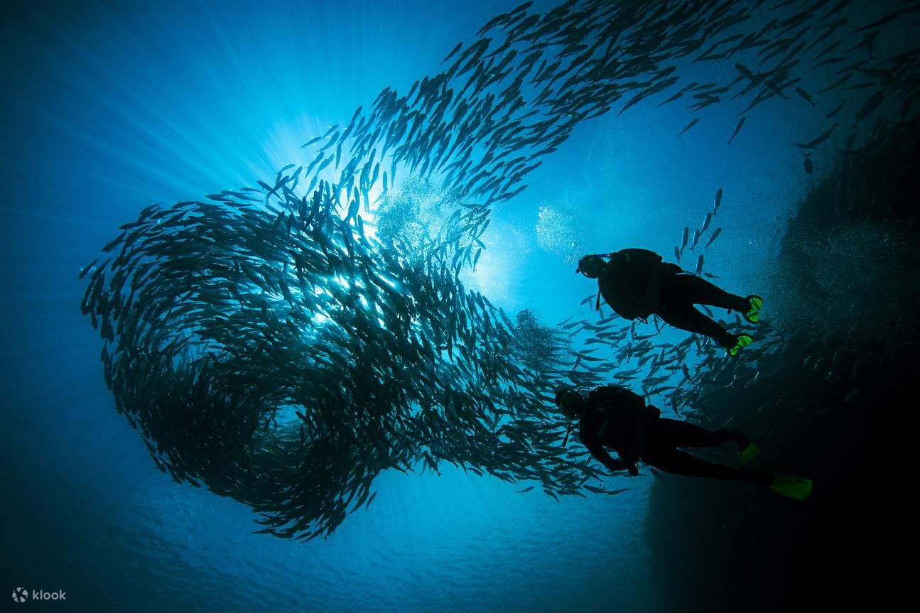 Perjalanan Menyelam Pukul 08:00