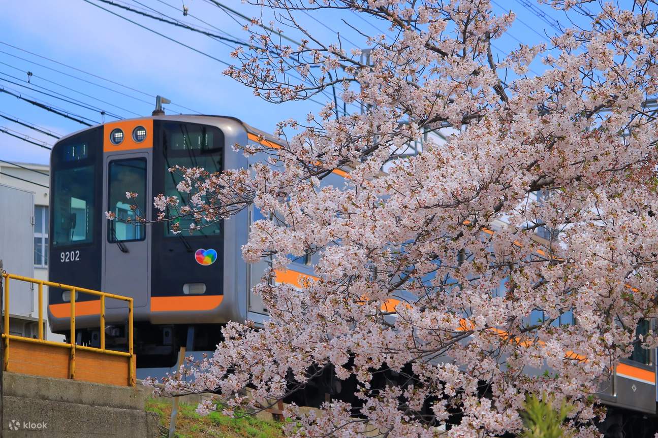 ※期限切れ　ペルソナ　劇場版　ポートライナー　六甲ライナー　阪神電車　一日乗車券 劇場版『ペルソナ3』より、阪神地域で使える一日乗車券が発売