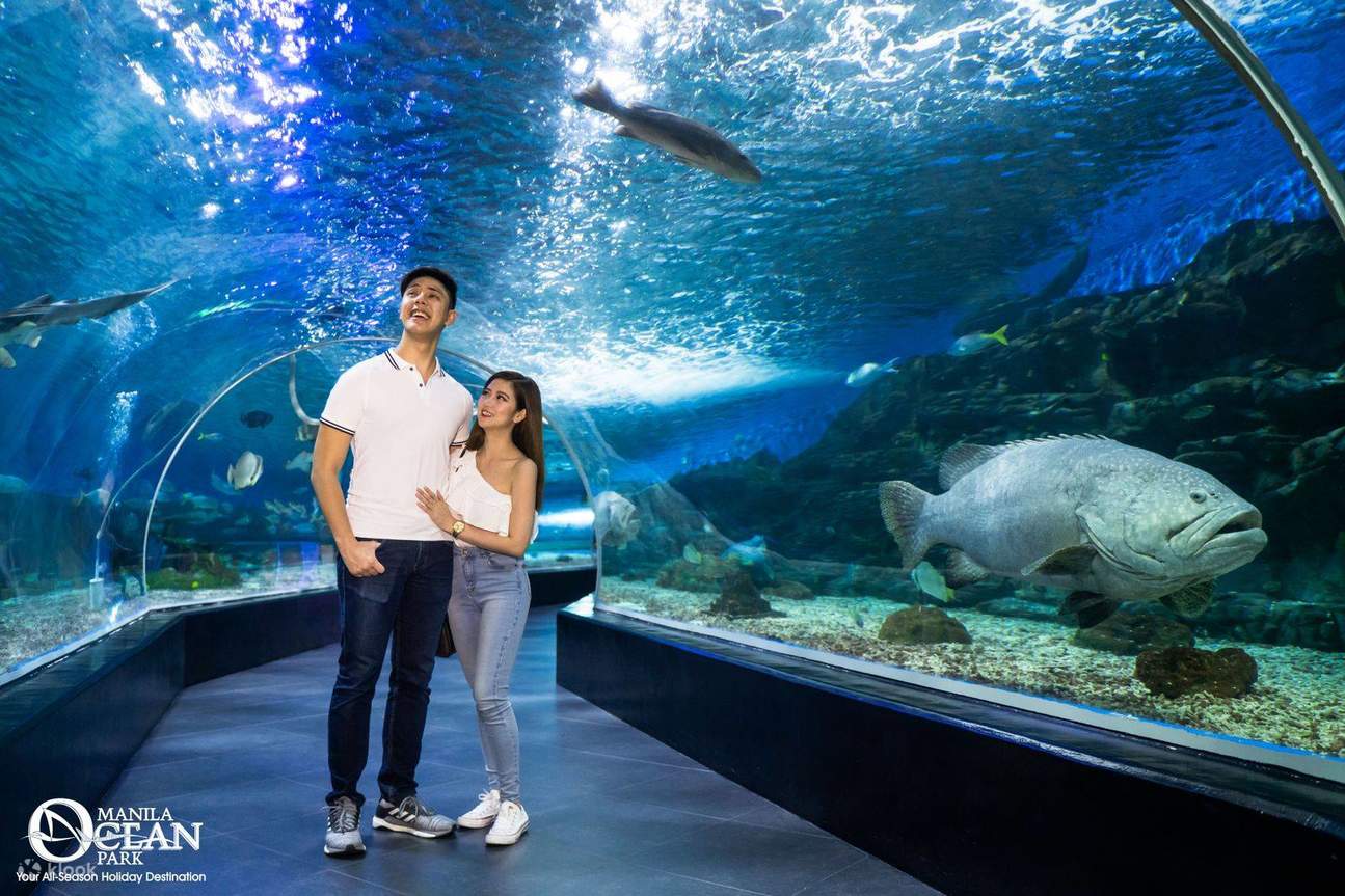 情侶在馬尼拉海洋公園水族館內散步