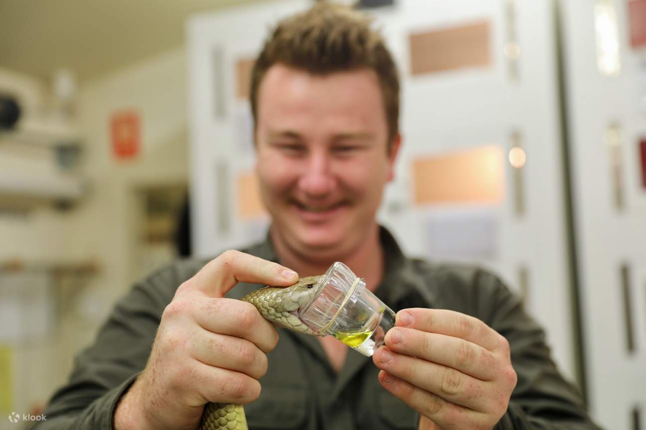 Il biglietto per l'Australian Reptile Park - Klook Stati Uniti