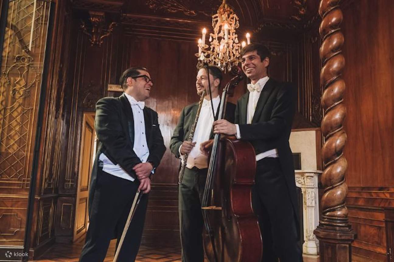 Vé Dàn Nhạc Vienna Residence