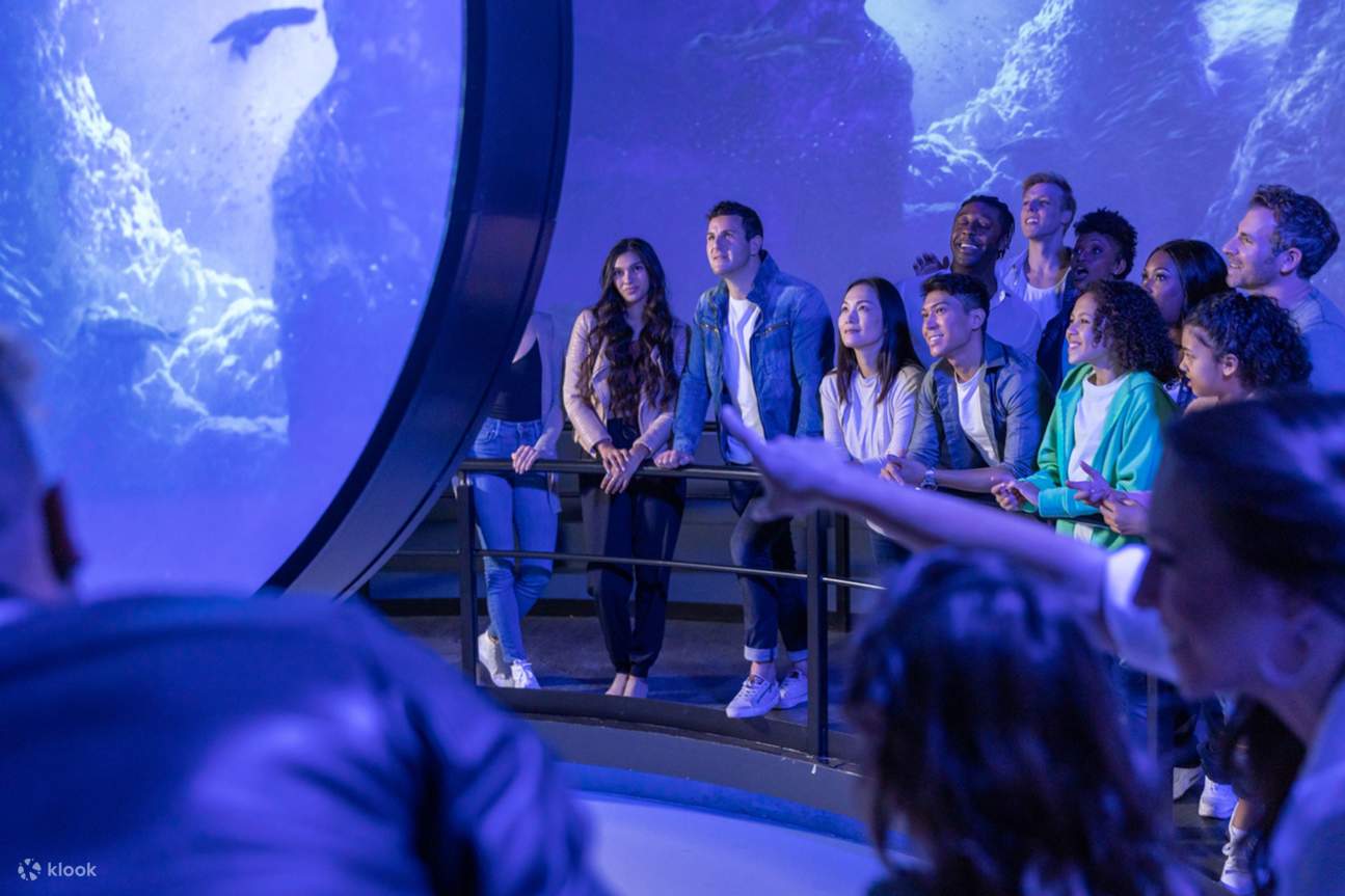 Đắm mình trong chuyến phiêu lưu giác quan ngập tràn hình ảnh, hương thơm và âm thanh.