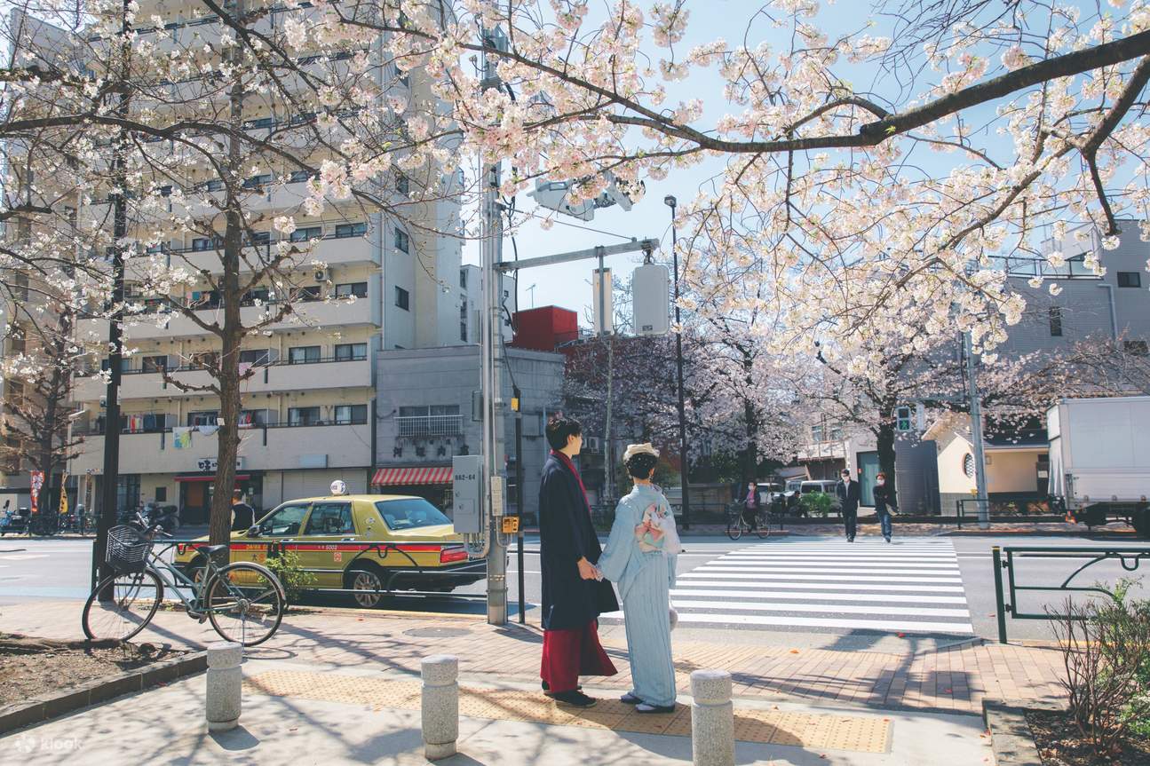 カップルが着物着て桜木の下に立ってます