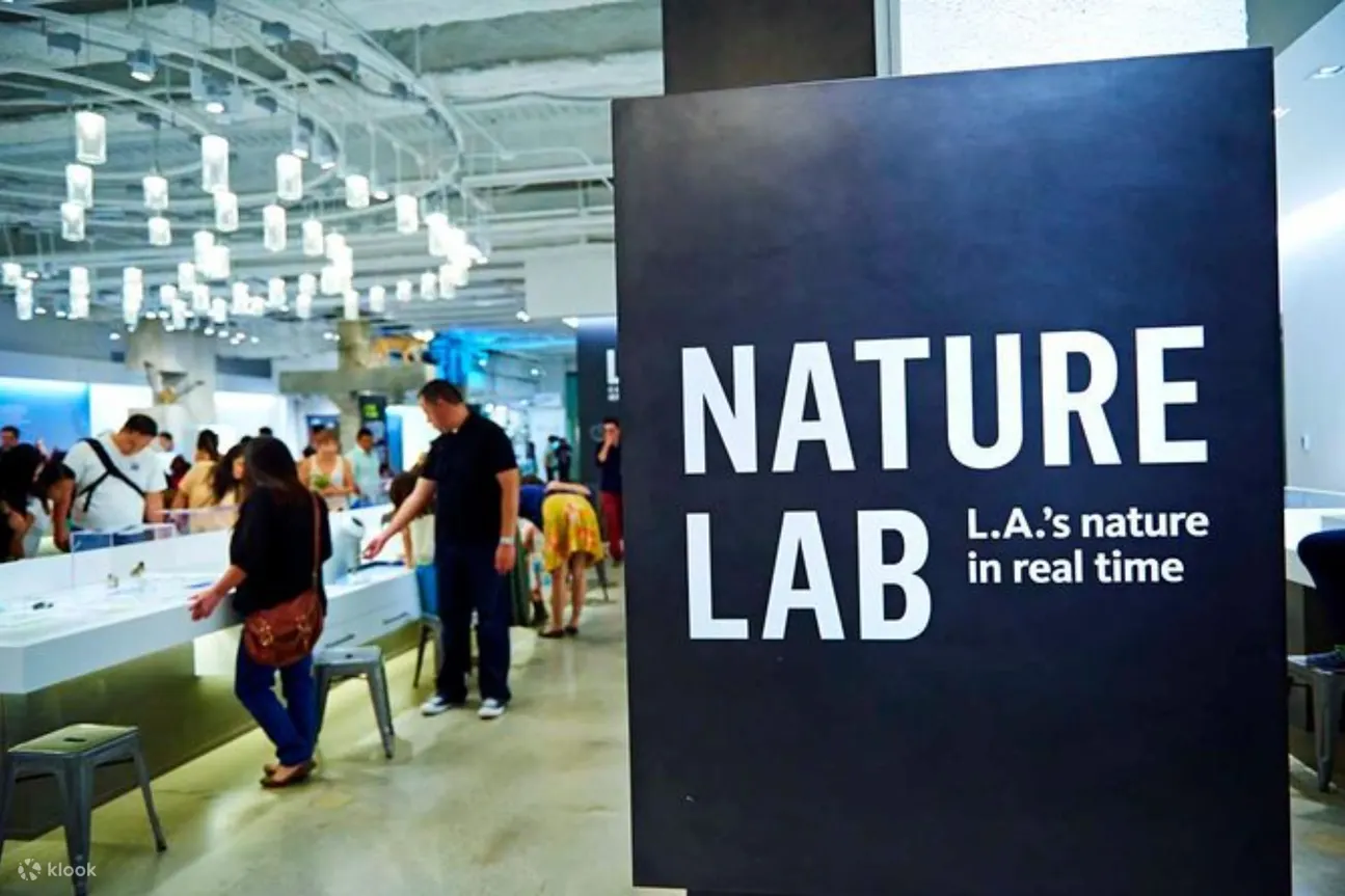 自然实验室中的互动展览展示了活的植物、动物和当地生态系统