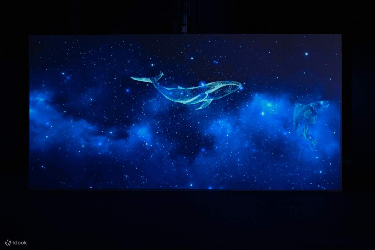 Hong Kong Ocean Park Explorer