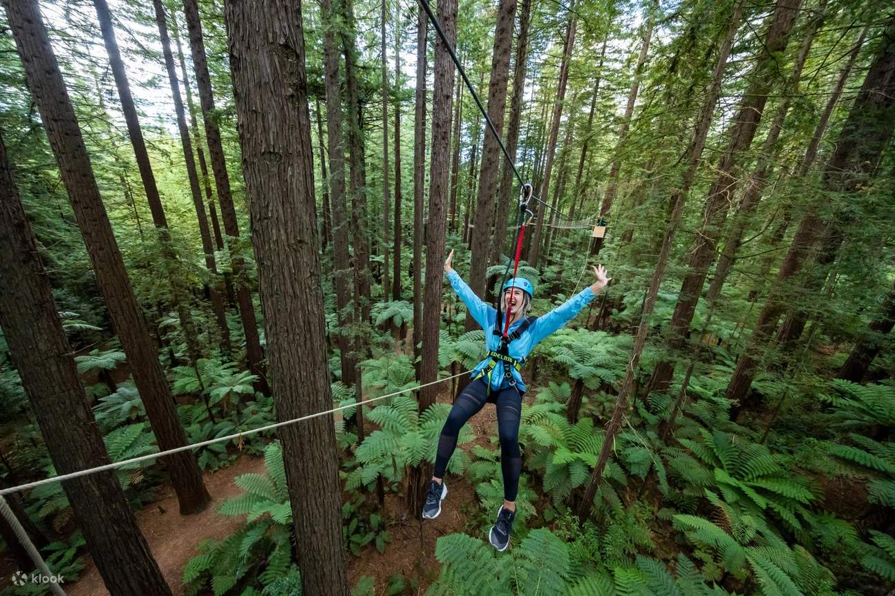 Expérience Redwoods à Rotorua