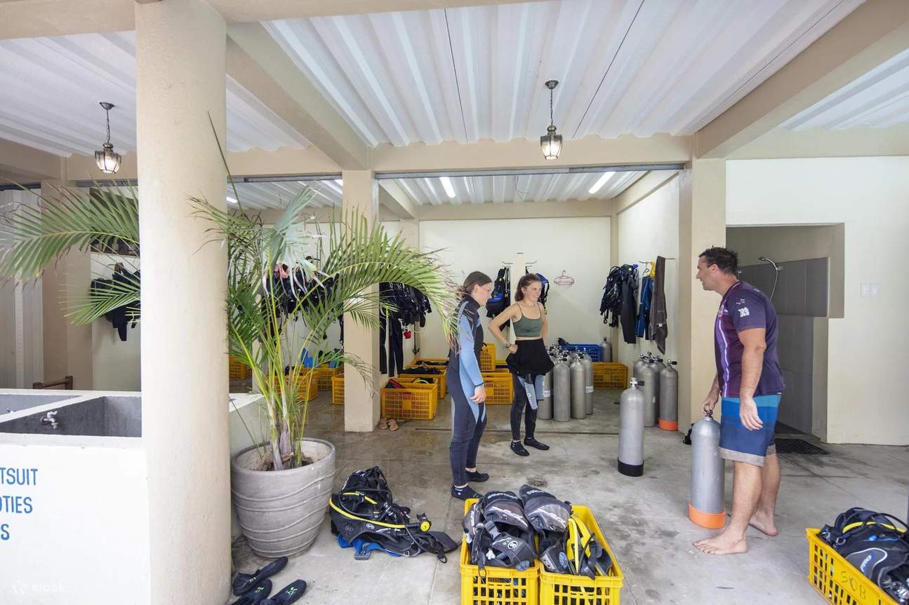 Aquatisches Erwachen: Open Water Kurs in Bohol mit PADI 5* Center