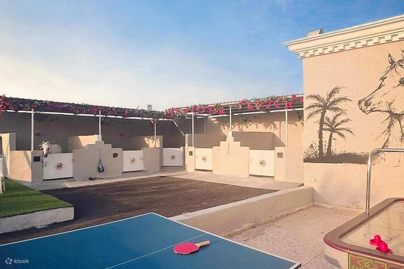 Expérience de balade à cheval sur la plage à Djeddah