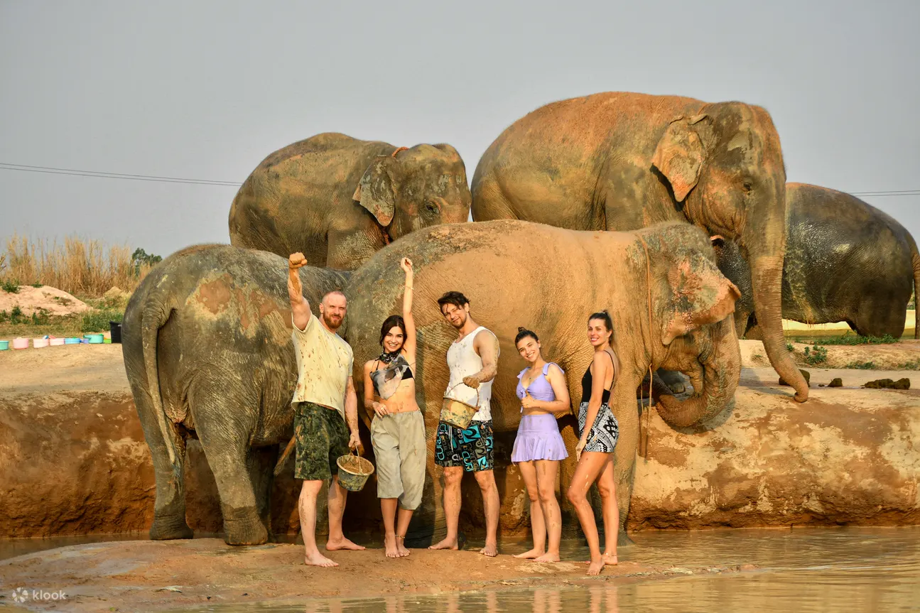Elephant nature walk
