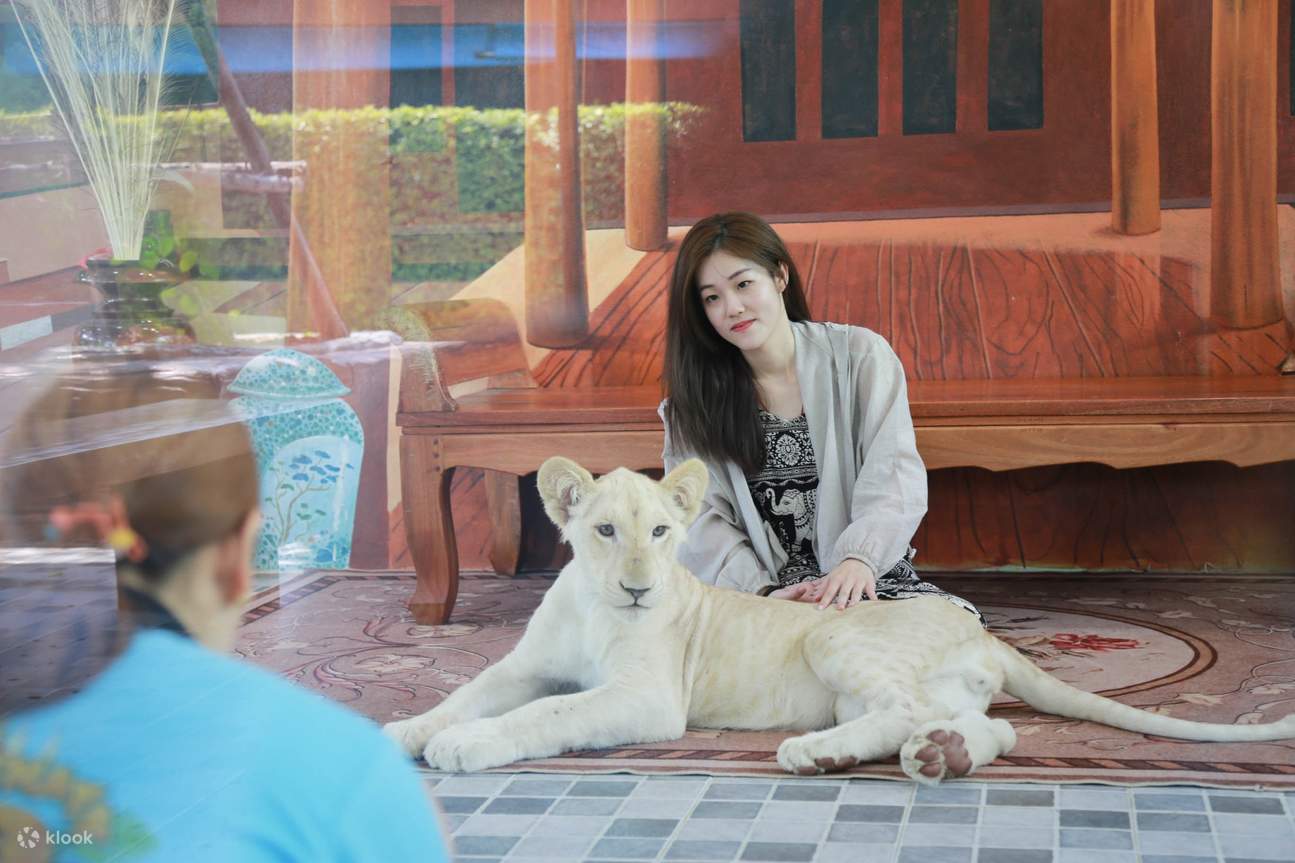 บัตรเข้าสวนสัตว์ศรีอยุธยา ไลอ้อน ปาร์ค