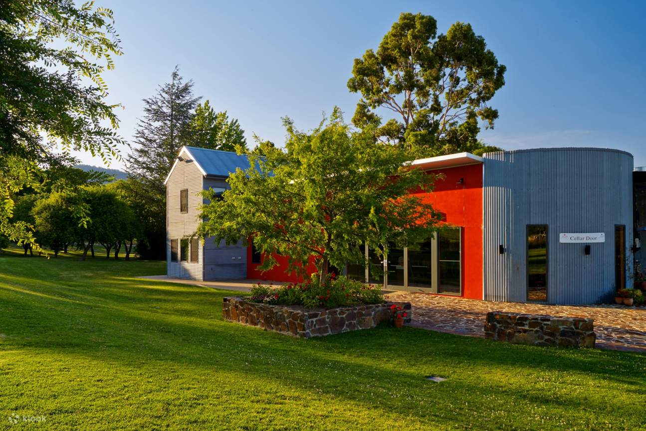 Expérience de dégustation de fûts et de prosciutto chez Pizzini Wines