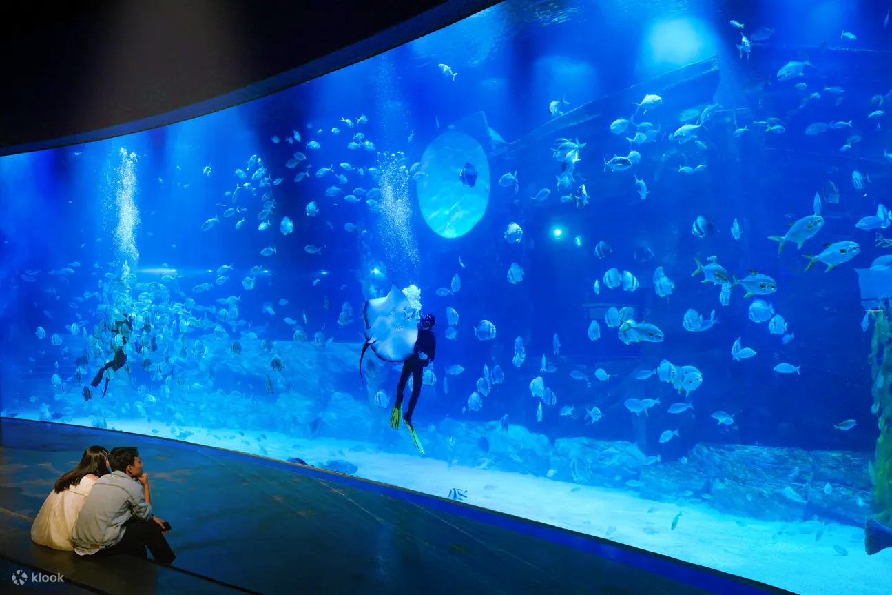 乐天世界水族馆