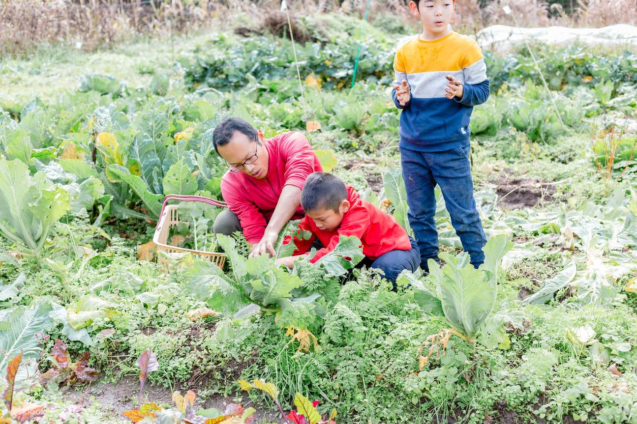 1泊2日 畑から食卓までを学ぶカルチャーツアー 京都 美山町 Klook 1泊2日 畑から食卓までを学ぶカルチャーツアー 京都 美山町 Klook