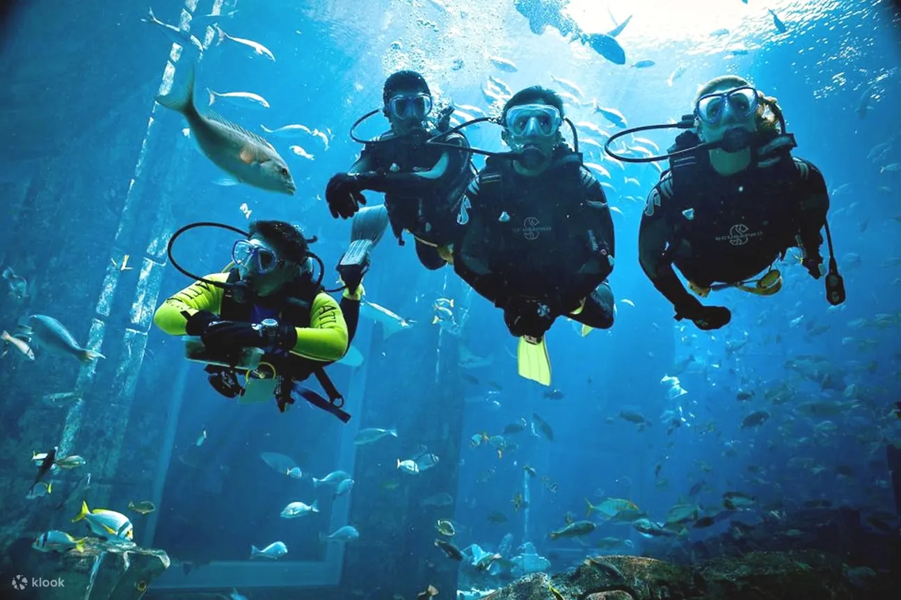 赫尔格达：潜水与浮潜介绍之旅（含午餐）