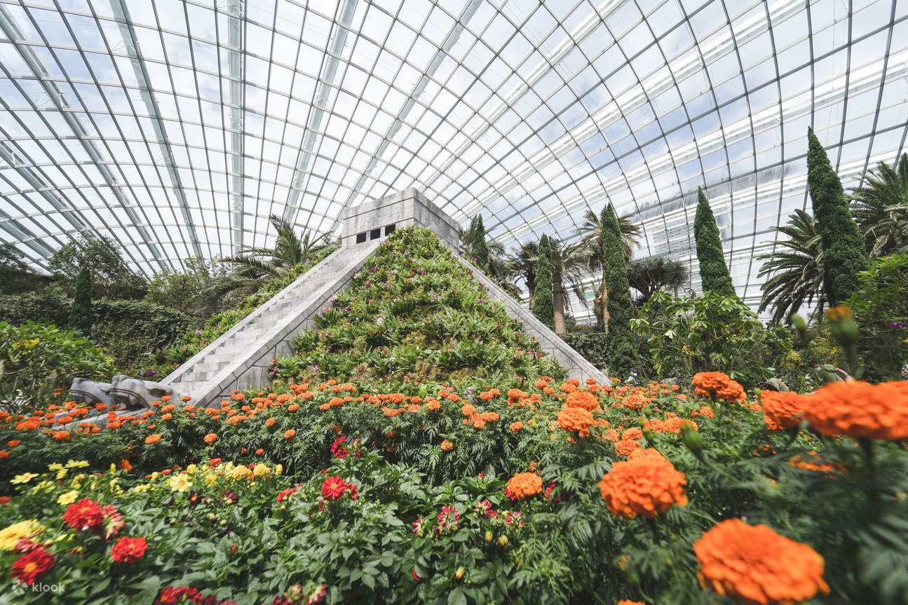 Gardens By The Bay Hanging Gardens