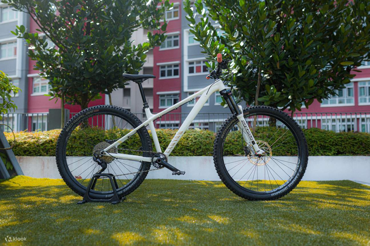 Fahrrad-/Fahrräderverleih + Lieferung