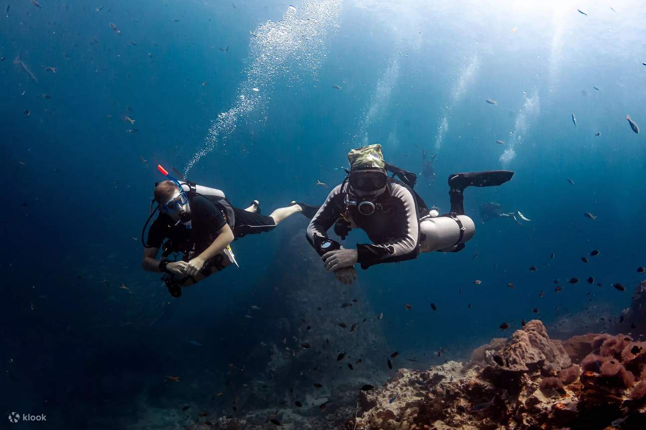 Plongez dans un monde d'expériences enrichies à Koh Phangan – la certification Enriched Air Diver transforme vos aventures sous-marines avec des plongées plus longues et à couper le souffle.