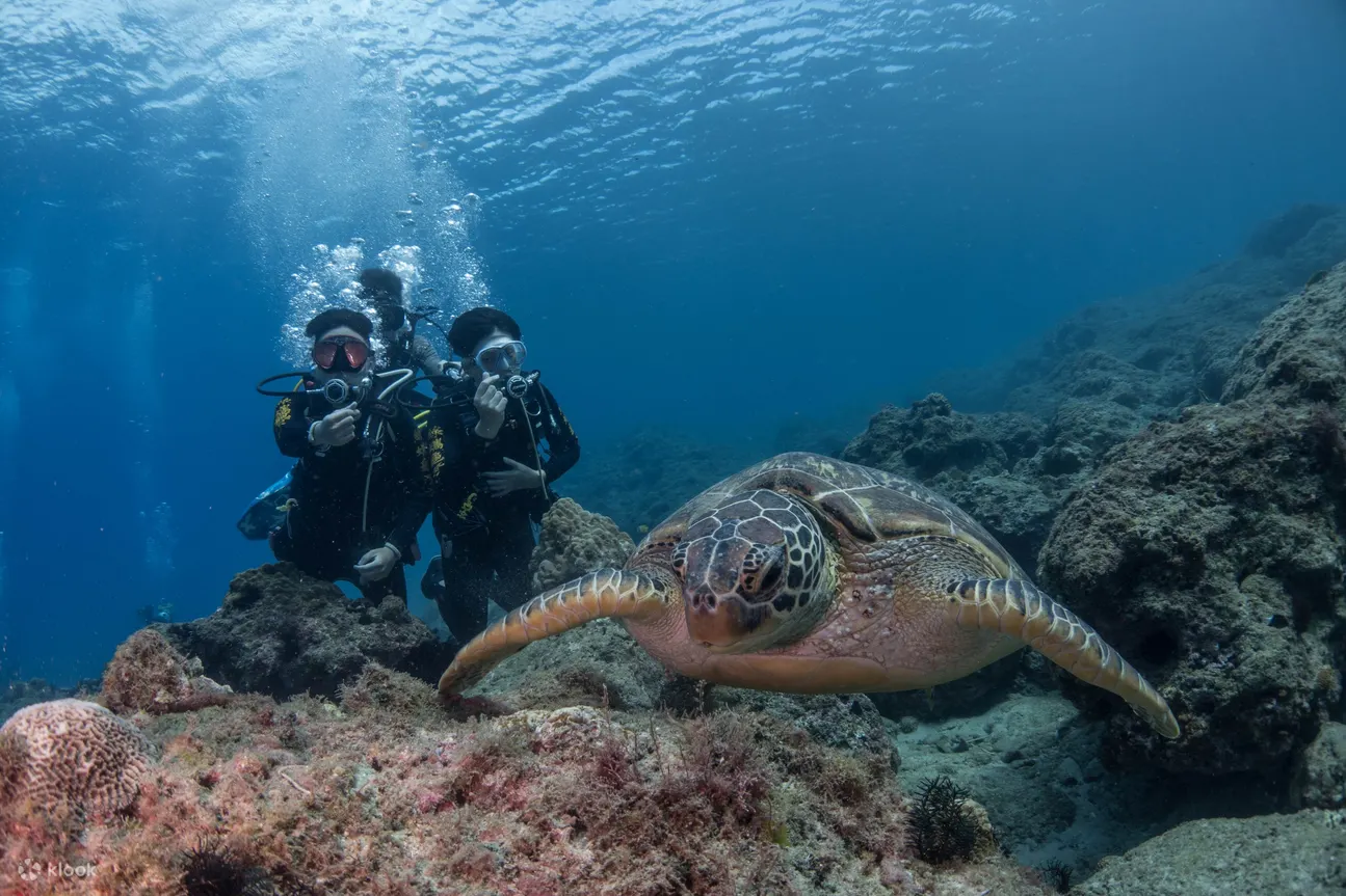 Diving Experience and OW Junior Diver Course in Green Sea Turtle Dive Shop Pingtung Xiaoliuqiu