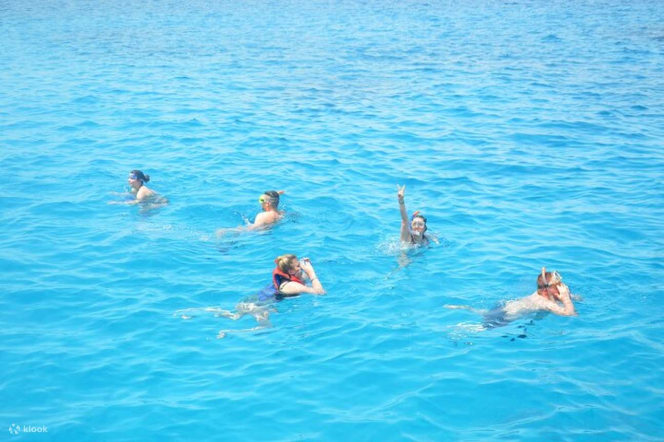 Nado con Delfines Semi Privado en Lancha Rápida – Excursión Marítima - Hurghada