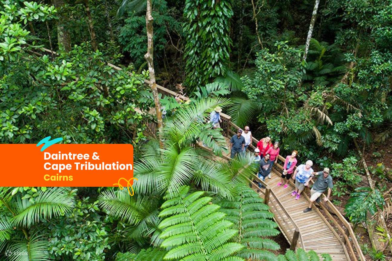 La forêt tropicale de Daintree et Cape Tribulation